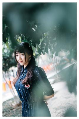 树影迷宫电视剧免费播放